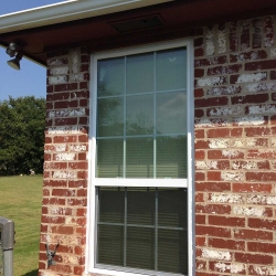 Double Hung Windows