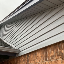 Mixed Vinyl Siding