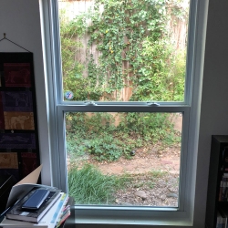 Double Hung Window On Room