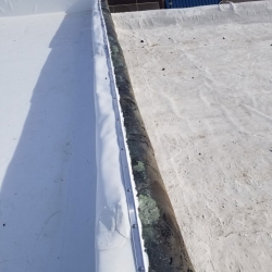 Flat Roof Repair