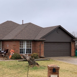 Garage Door Painting