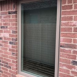 New Picture Window With Blinds